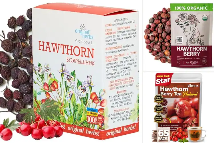 Detailed view of Best Hawthorn Berries For Antioxidant Rich Tea