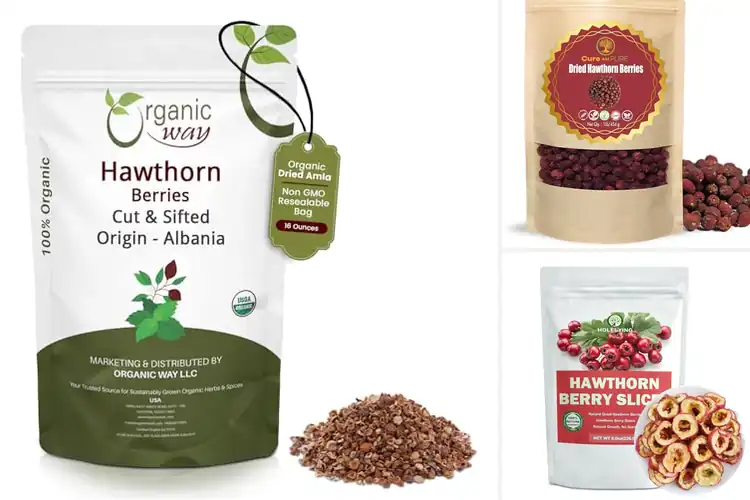 Detailed view of Best Hawthorn Berries for Cooking