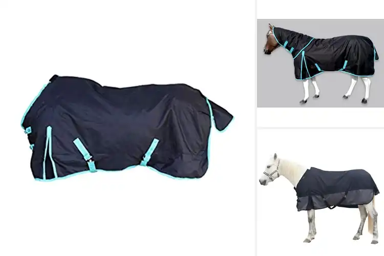 Detailed view of Best Horse Rain Protection Sheets
