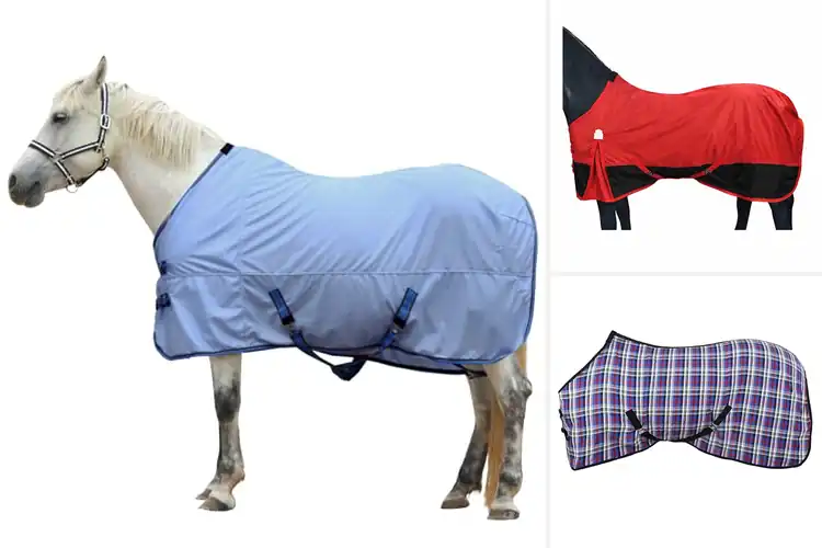 Detailed view of Best Lightweight Horse Sheets: Top 10 Picks for Cool Comfort