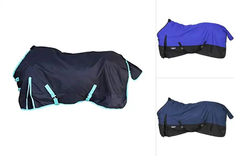 Detailed view of Best Lightweight Horse Turnout Sheets