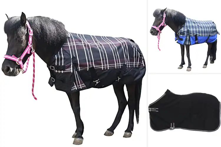 Detailed view of Best Lightweight Mini Horse Blanket 0g Fill