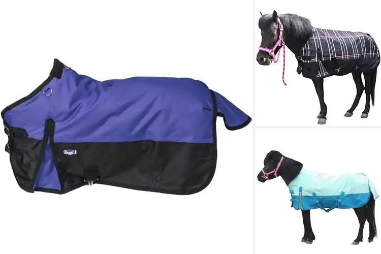 Detailed view of Best Lightweight Mini Horse Blankets