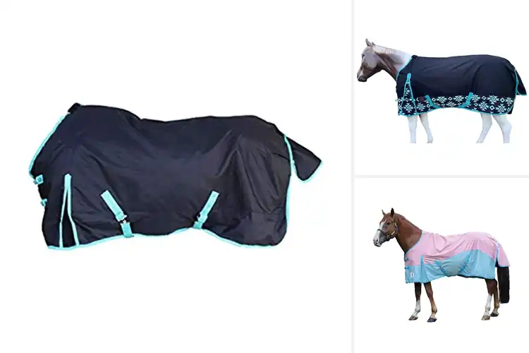 Detailed view of Best Lightweight Rain Sheets: Top 10 Picks for Horse Comfort
