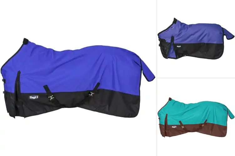 Detailed view of Best Lightweight Turnout Blankets