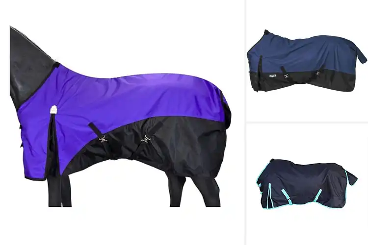 Detailed view of Best Lightweight Turnout Sheets