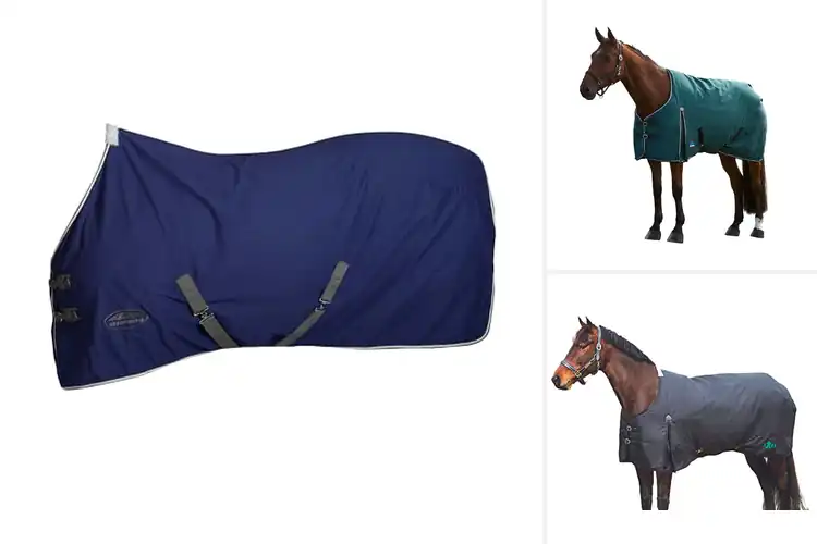 Detailed view of Best Low Cross Surcingle: Top Picks for Comfort & Durability