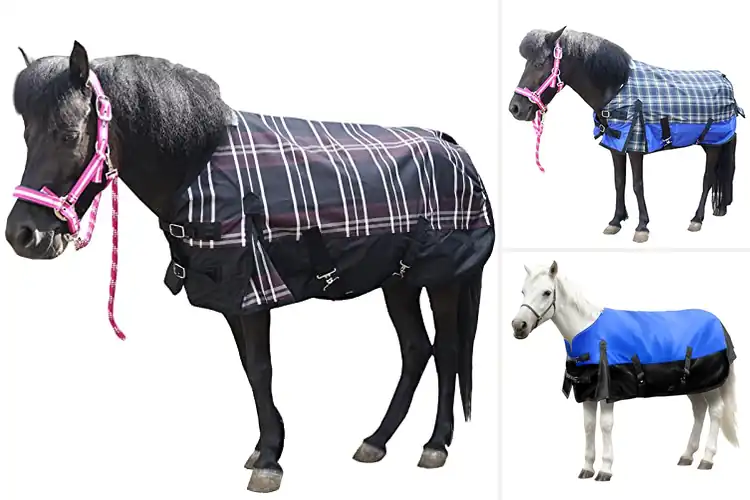Detailed view of Best Mini Donkey Rain Sheets: Top Picks for Cozy Protection