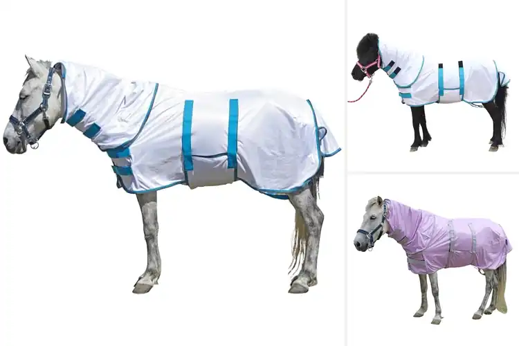 Detailed view of Best Mini Donkey Sheets