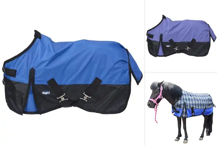 Detailed view of Best Mini Horse Rain Sheets