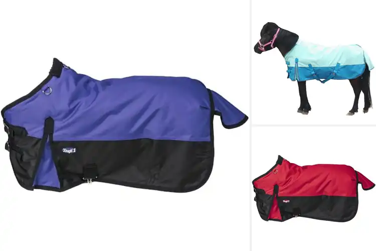 Detailed view of Best Mini Pony Blankets