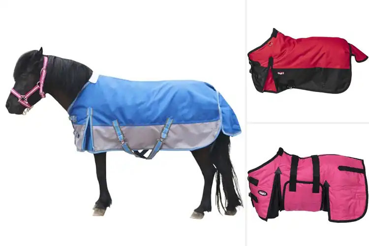 Detailed view of Best Miniature Horse Blankets