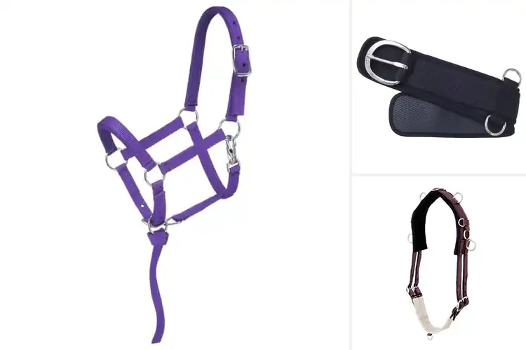 Detailed view of Best Miniature Horse Tack: Top 10 Picks for Safety & Comfort