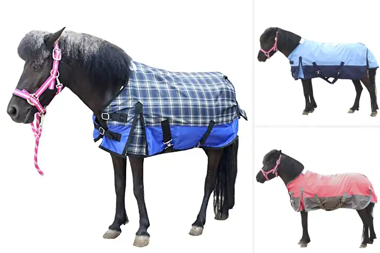 Detailed view of Best Miniature Pony Rain Sheets: Keep Your Little One Dry