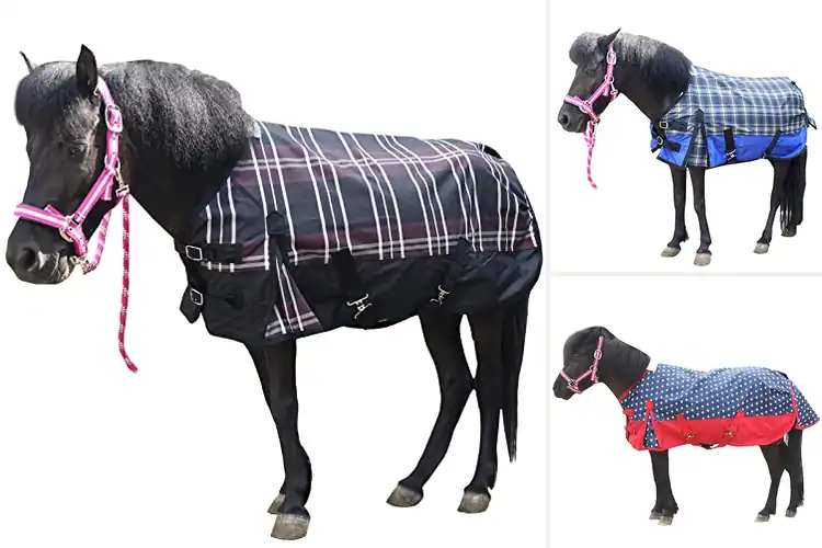 Detailed view of Best Miniature Turnout Sheets