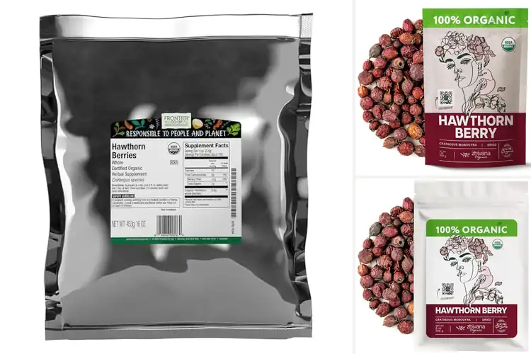 Detailed view of Best Organic Dried Hawthorn Berries