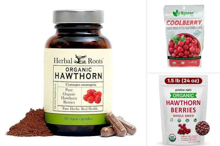 Detailed view of Best Organic Hawthorn Berry Superfoods