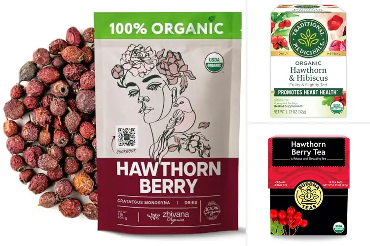 Detailed view of Best Organic Hawthorn Berry Tea