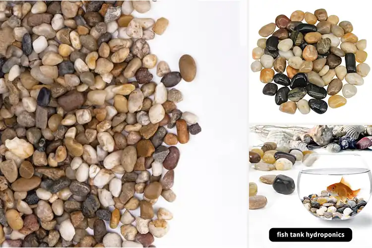 Detailed view of Best Pebbles For Plants