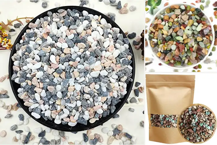 Detailed view of Best Pebbles For Succulents