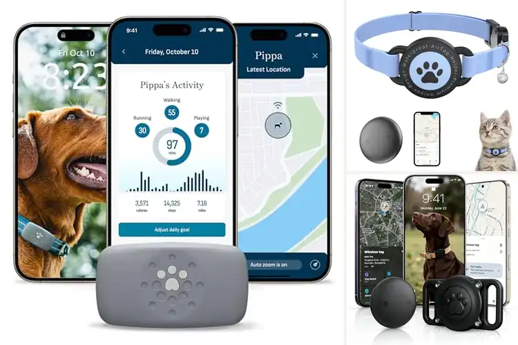 Detailed view of Best Pet Activity Trackers: Top 10 for Safety & Health