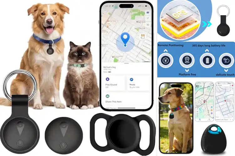 Detailed view of Best Pet GPS Trackers: Top 10 Picks for Your Pet’s Safety