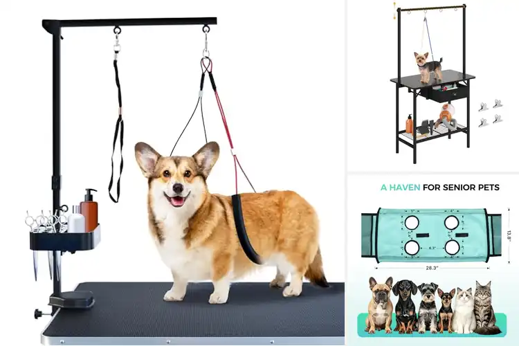 Detailed view of Best Pet Grooming Stands: Top 10 Picks for Easy Grooming