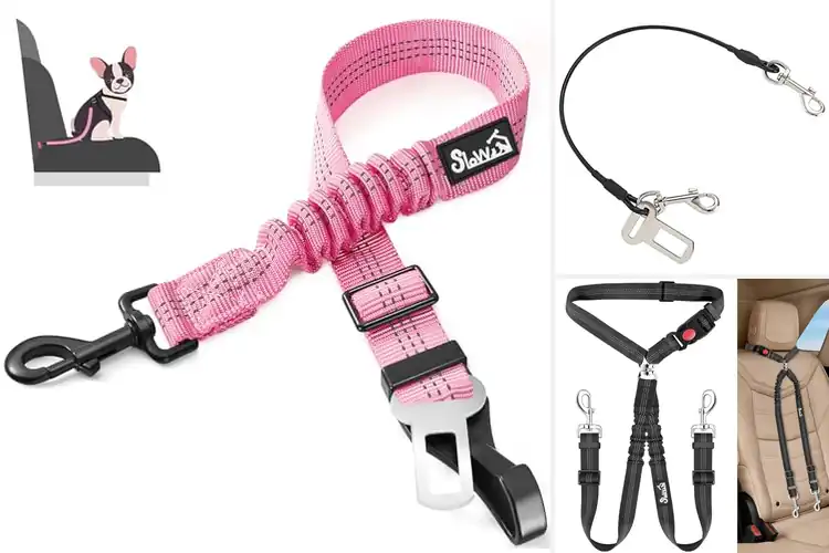 Detailed view of Best Pet Restraint Systems: Top 10 Safe Car Ride Solutions
