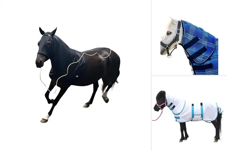 Detailed view of Best Protective Mini Horse Covers: Shield from Sun & Bugs