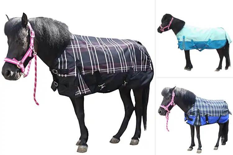 Detailed view of Best Rain Sheets For Miniature Horses