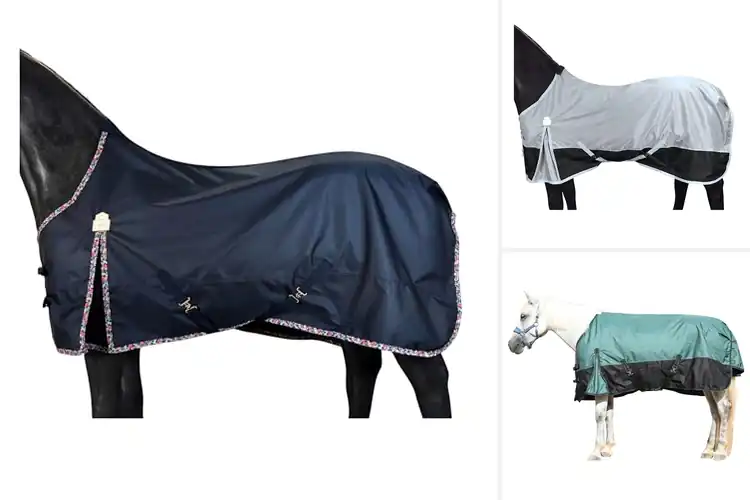 Detailed view of Best Ripstop Horse Blankets