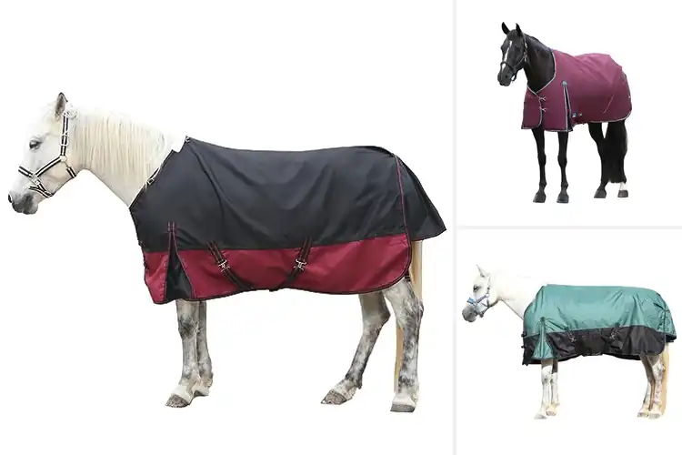 Detailed view of Best Ripstop Horse Turnout Rugs