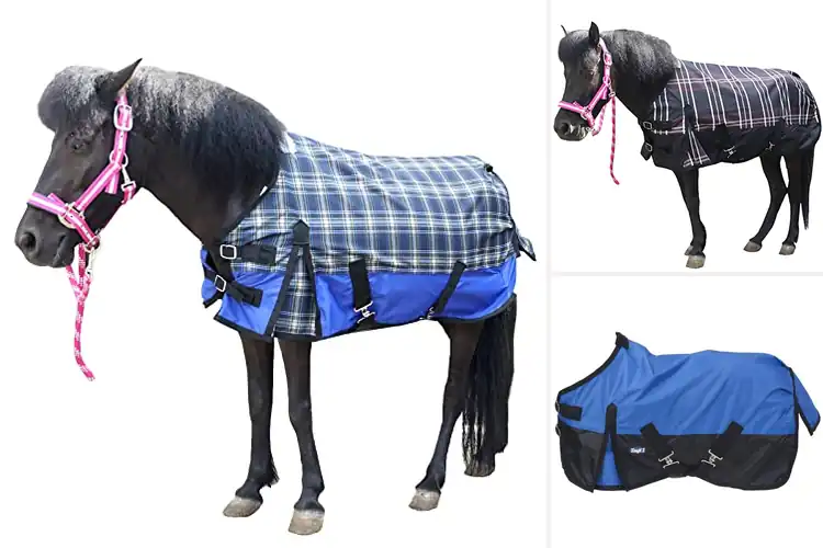 Detailed view of Best Ripstop Mini Horse Sheets for Comfort