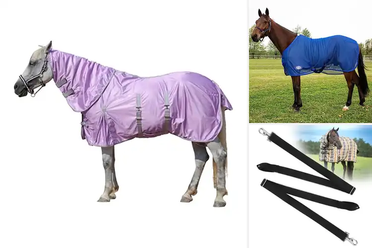 Detailed view of Best Secure Fit Horse Sheets