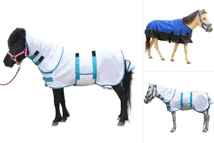 Detailed view of Best Secure Fit Mini Horse Turnout Sheet