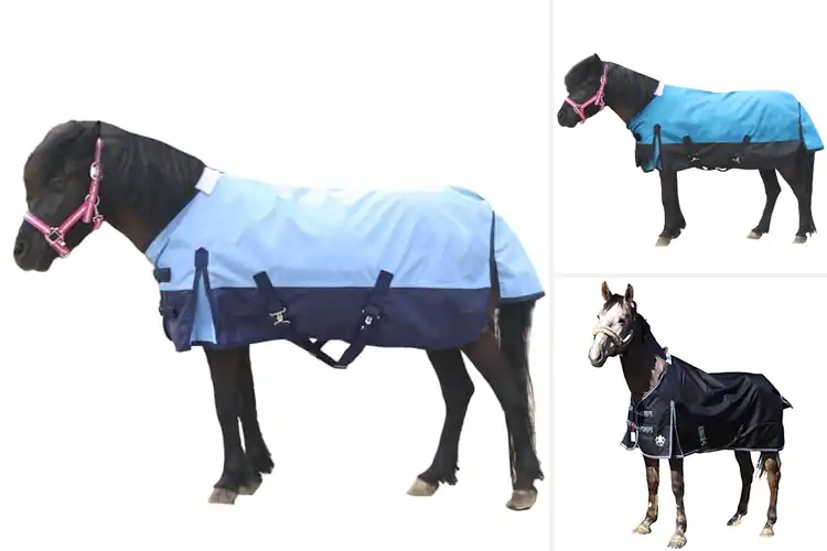 Detailed view of Best Silky Lining Mini Horse Sheet: Ultimate Comfort Guide