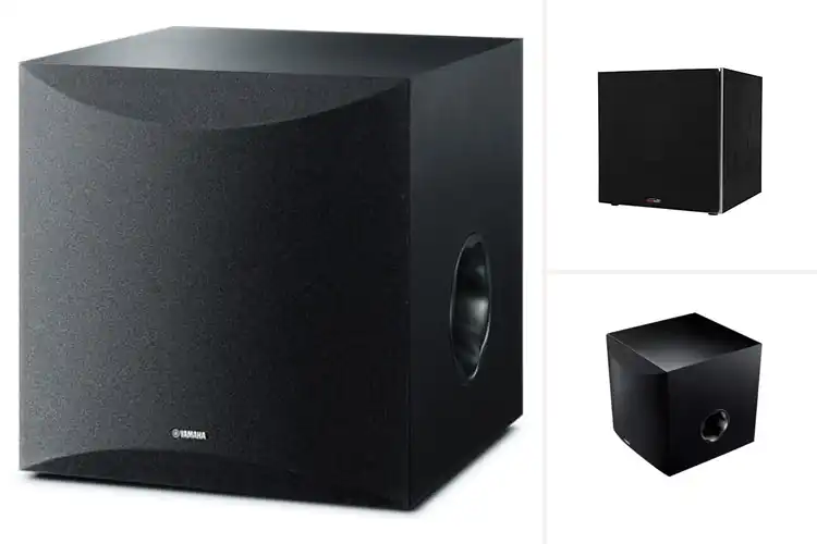 Detailed view of Best Subwoofers With 100W Powers