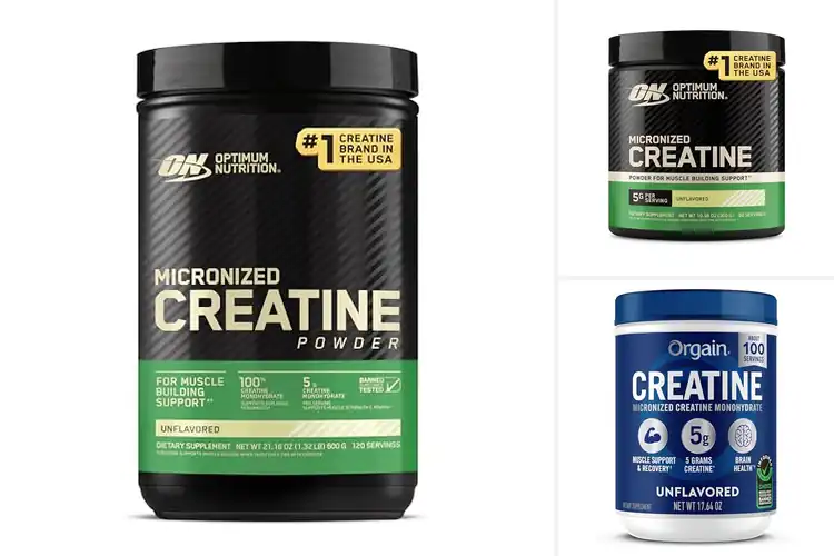 Detailed view of Best Unflavored Creatine Powders