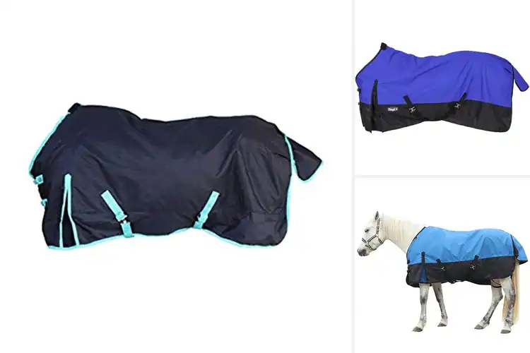 Detailed view of Best Waterproof Horse Sheets for Ultimate Comfort in Storms