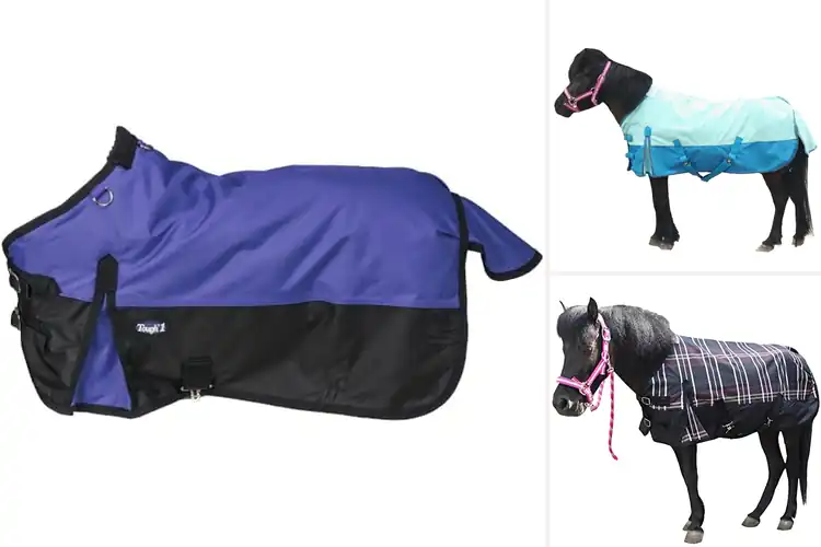 Detailed view of Best Waterproof Mini Horse Blankets
