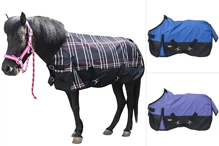 Detailed view of Best Waterproof Mini Horse Rain Sheet