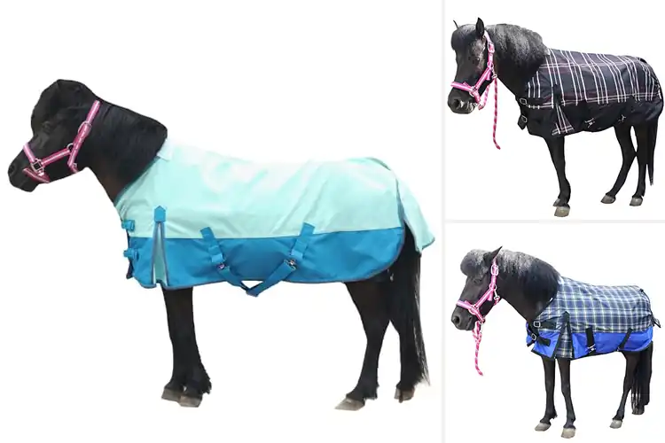 Detailed view of Best Waterproof Mini Horse Sheets