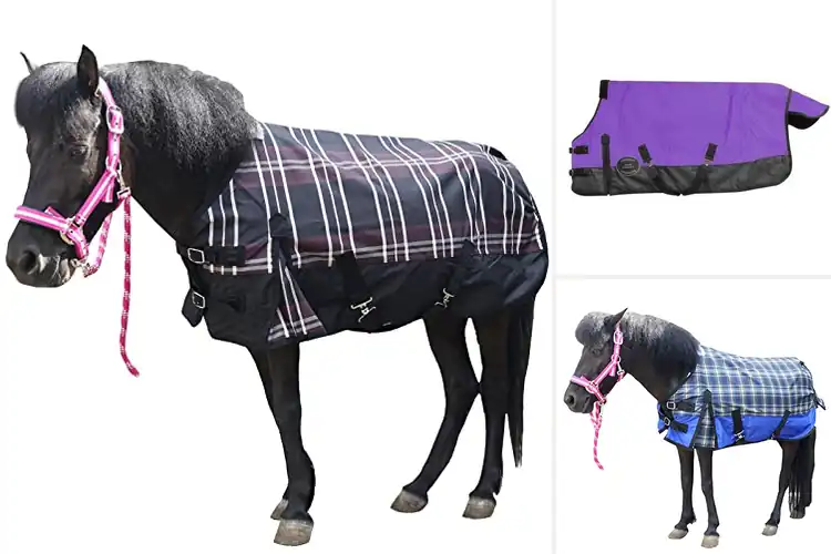 Detailed view of Best Waterproof Pony Turnout Sheets