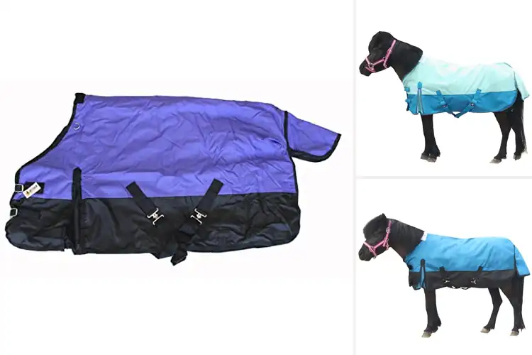 Detailed view of Best Waterproof Pony Turnouts: Top 10 to Keep Your Pony Dry