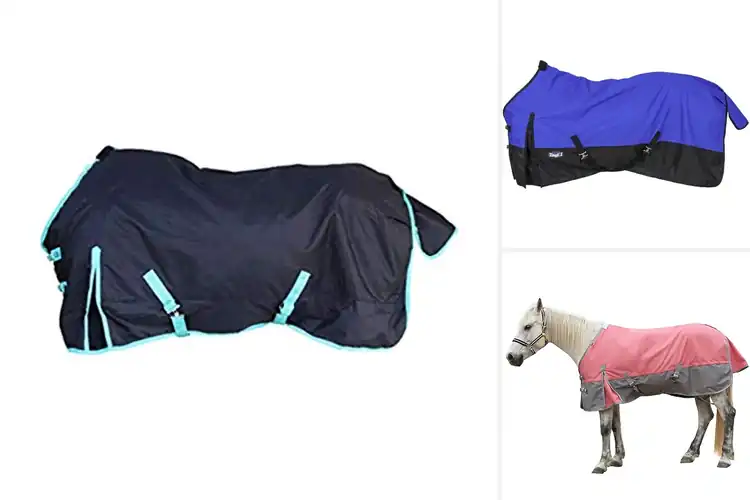 Detailed view of Best Waterproof Turnout Sheets: Keep Your Horse Dry & Cozy