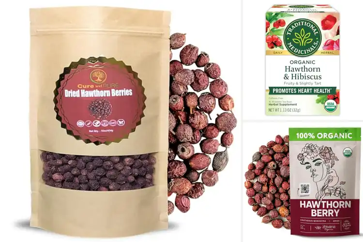 Detailed view of Best Wellness Tea Ingredients Hawthorn Berries