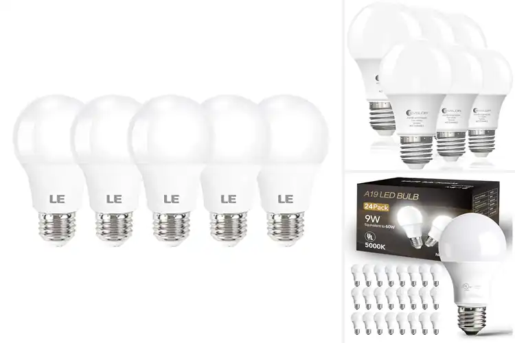 Detailed view of Best White Light Bulbs