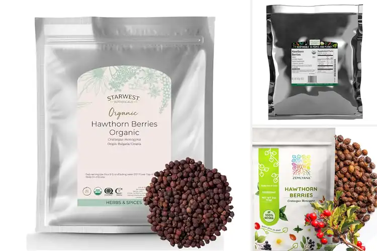 Detailed view of Best Whole Dried Hawthorn Berries For Brewing