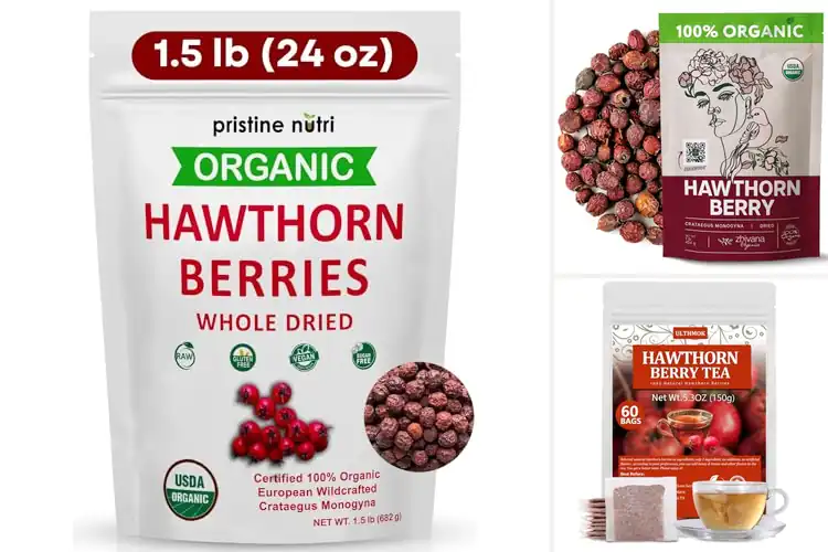 Detailed view of Best Wildcrafted Hawthorn Berries For Wellness Tea