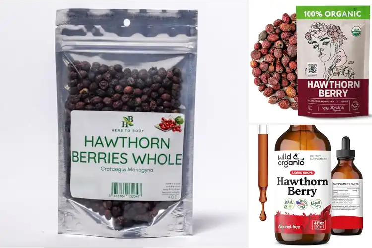 Detailed view of Best Wildcrafted Hawthorn Berries